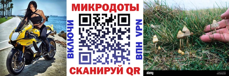 даркнет сайт  Полевской  KRAKEN ссылка  Галлюциногенные грибы Psilocybine cubensis 