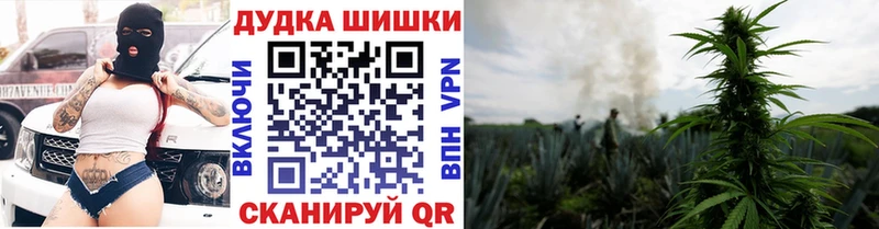 Шишки марихуана план  Полевской 